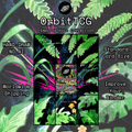 M Sceptile EX Extended Art Background — AOR 085 | OrbitTCG